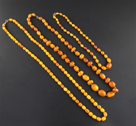 Three single strand amber bead necklaces, longest 36in.